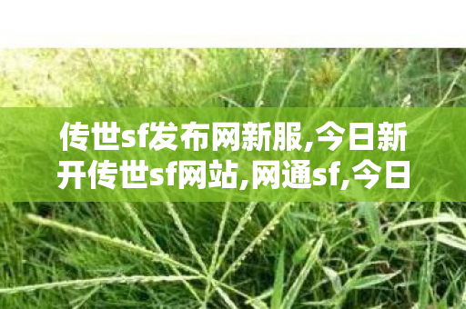 传世sf发布网新服,今日新开传世sf网站,网通sf,今日新开传世sf网站