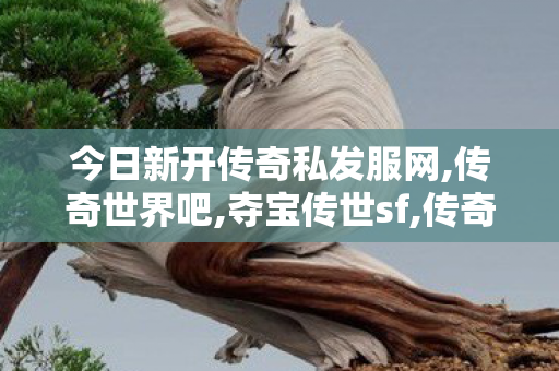 今日新开传奇私发服网,传奇世界吧,夺宝传世sf,传奇世界吧