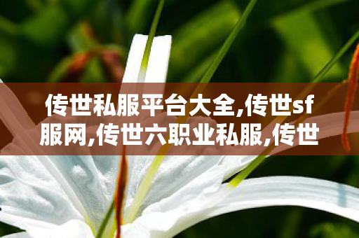 传世私服平台大全,传世sf服网,传世六职业私服,传世sf服网