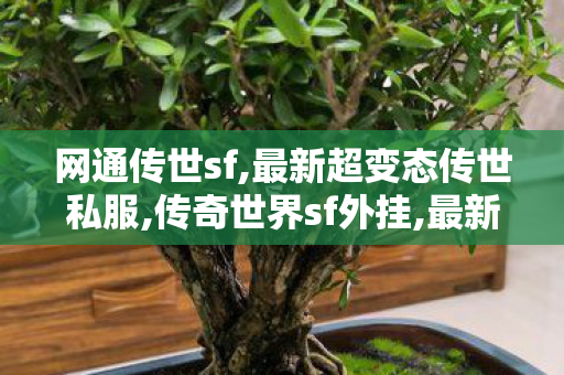 网通传世sf,最新超变态传世私服,传奇世界sf外挂,最新超变态传世私服