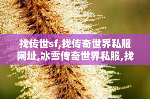 找传世sf,找传奇世界私服网址,冰雪传奇世界私服,找传奇世界私服网址