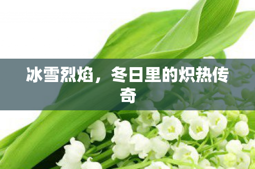 冰雪烈焰，冬日里的炽热传奇
