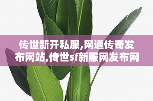 传世新开私服,网通传奇发布网站,传世sf新服网发布网,网通传奇发布网站
