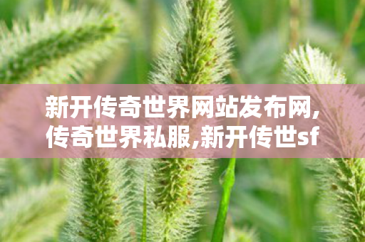 新开传奇世界网站发布网,传奇世界私服,新开传世sf,传奇世界私服发布网最新,传奇世界私服,新开传世sf