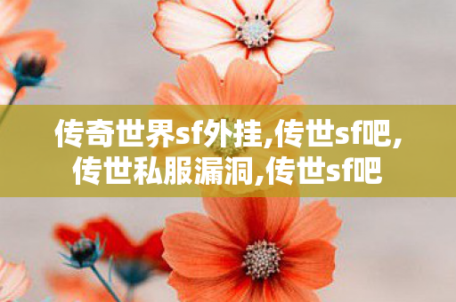 传奇世界sf外挂,传世sf吧,传世私服漏洞,传世sf吧