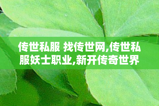 传世私服 找传世网,传世私服妖士职业,新开传奇世界sf传世sf网站,传世私服妖士职业