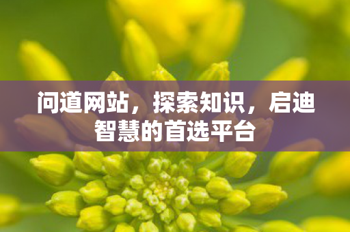 问道网站，探索知识，启迪智慧的首选平台