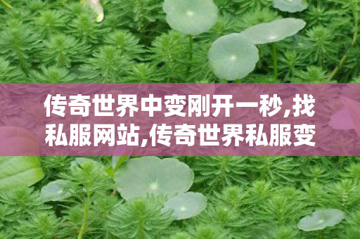 传奇世界中变刚开一秒,找私服网站,传奇世界私服变态版,找私服网站