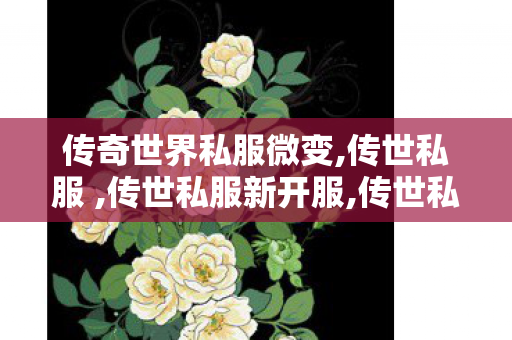 传奇世界私服微变,传世私服 ,传世私服新开服,传世私服