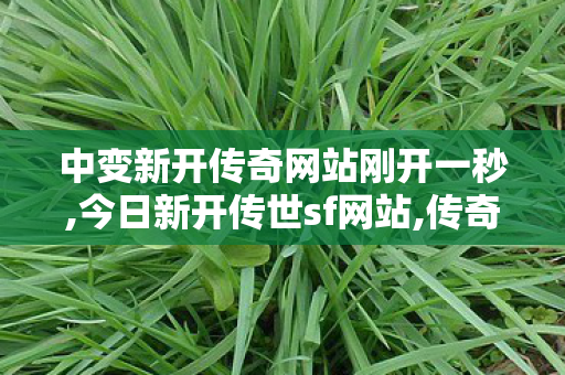 中变新开传奇网站刚开一秒,今日新开传世sf网站,传奇世界私服变态版,今日新开传世sf网站