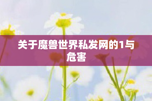 关于魔兽世界私发网的1与危害