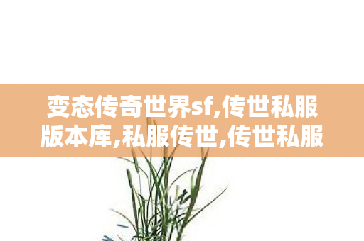 变态传奇世界sf,传世私服版本库,私服传世,传世私服版本库