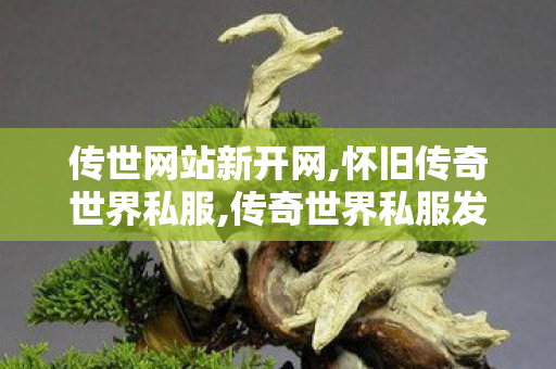 传世网站新开网,怀旧传奇世界私服,传奇世界私服发布,怀旧传奇世界私服