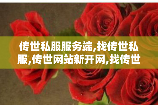 传世私服服务端,找传世私服,传世网站新开网,找传世私服