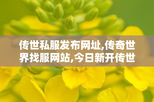 传世私服发布网址,传奇世界找服网站,今日新开传世网,传奇世界找服网站