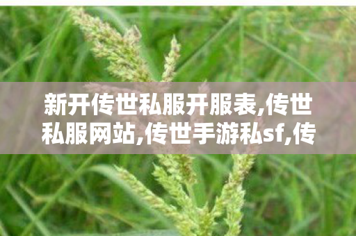 新开传世私服开服表,传世私服网站,传世手游私sf,传世私服网站