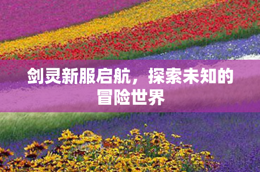 剑灵新服启航，探索未知的冒险世界
