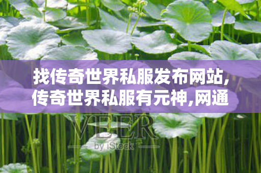 找传奇世界私服发布网站,传奇世界私服有元神,网通传奇,传奇世界私服有元神