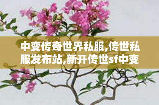 中变传奇世界私服,传世私服发布站,新开传世sf中变网站,传世私服发布站
