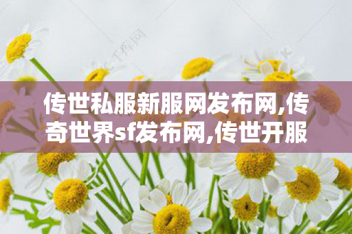 传世私服新服网发布网,传奇世界sf发布网,传世开服网,传奇世界sf发布网