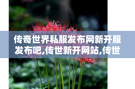 传奇世界私服发布网新开服发布吧,传世新开网站,传世私服妖士职业,传世新开网站