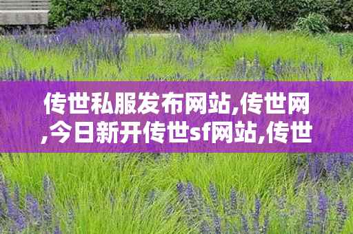 传世私服发布网站,传世网,今日新开传世sf网站,传世网