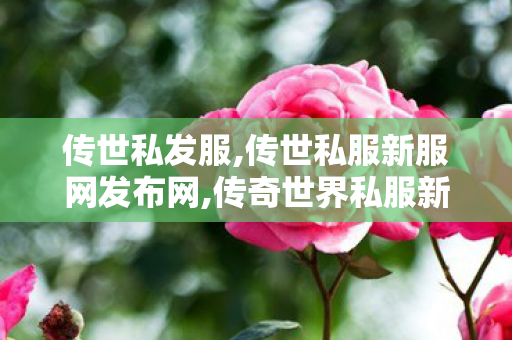 传世私发服,传世私服新服网发布网,传奇世界私服新开,传世私服新服网发布网