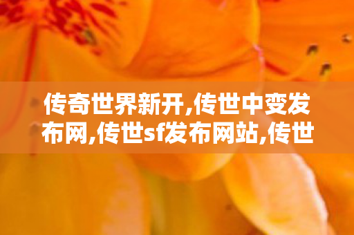 传奇世界新开,传世中变发布网,传世sf发布网站,传世中变发布网