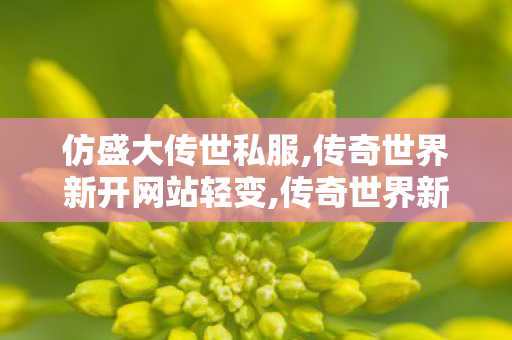 仿盛大传世私服,传奇世界新开网站轻变,传奇世界新开sf,传奇世界新开网站轻变