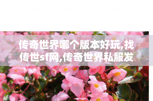 传奇世界哪个版本好玩,找传世sf网,传奇世界私服发布网站,找传世sf网