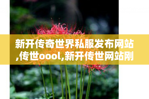 新开传奇世界私服发布网站,传世oool,新开传世网站刚开一秒,传世oool