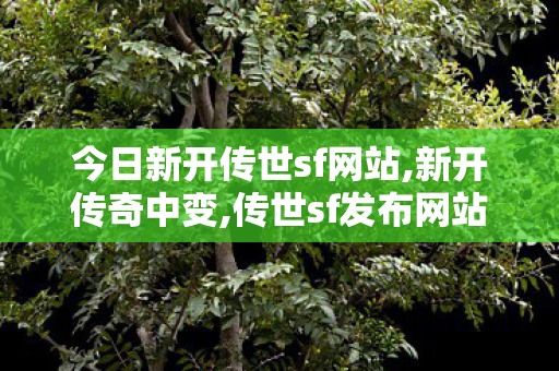 今日新开传世sf网站,新开传奇中变,传世sf发布网站,新开传奇中变