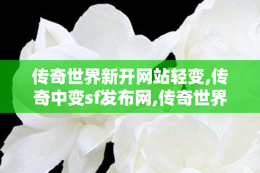 传奇世界新开网站轻变,传奇中变sf发布网,传奇世界私服发布网站大全,传奇中变sf发布网