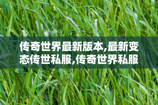 传奇世界最新版本,最新变态传世私服,传奇世界私服,传奇世界sf发布网,最新变态传世私服