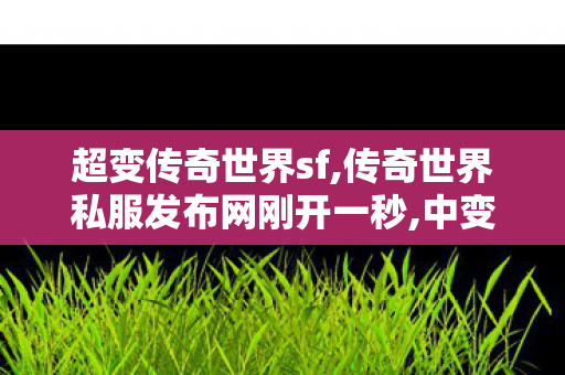 超变传奇世界sf,传奇世界私服发布网刚开一秒,中变传世,传奇世界私服发布网刚开一秒