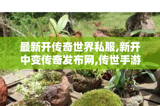 最新开传奇世界私服,新开中变传奇发布网,传世手游sf,新开中变传奇发布网