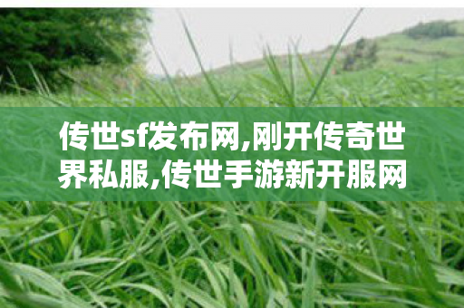 传世sf发布网,刚开传奇世界私服,传世手游新开服网站,刚开传奇世界私服