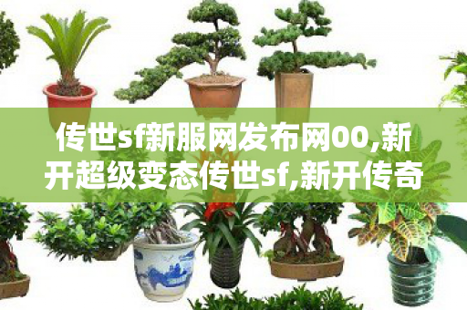传世sf新服网发布网00,新开超级变态传世sf,新开传奇世界私服,新开超级变态传世sf