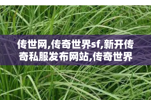 传世网,传奇世界sf,新开传奇私服发布网站,传奇世界sf