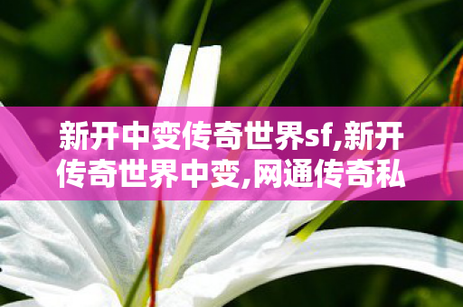 新开中变传奇世界sf,新开传奇世界中变,网通传奇私服网站,新开传奇世界中变