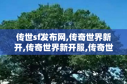 传世sf发布网,传奇世界新开,传奇世界新开服,传奇世界新开