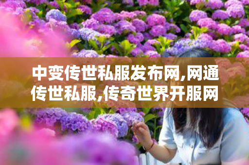中变传世私服发布网,网通传世私服,传奇世界开服网,网通传世私服