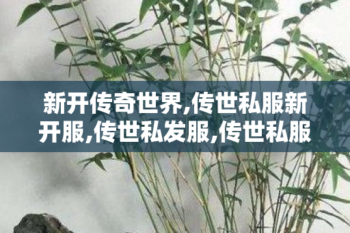 新开传奇世界,传世私服新开服,传世私发服,传世私服新开服