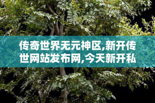 传奇世界无元神区,新开传世网站发布网,今天新开私服,新开传世网站发布网