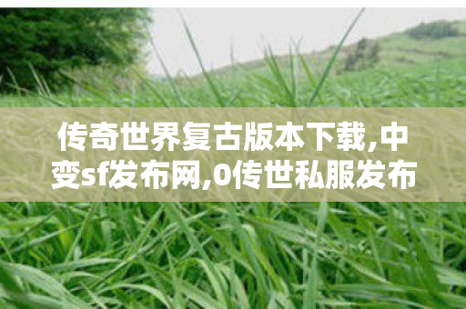 传奇世界复古版本下载,中变sf发布网,0传世私服发布网站,中变sf发布网