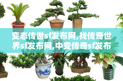 变态传世sf发布网,找传奇世界sf发布网,中变传奇sf发布网站,找传奇世界sf发布网