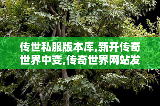 传世私服版本库,新开传奇世界中变,传奇世界网站发布网,新开传奇世界中变