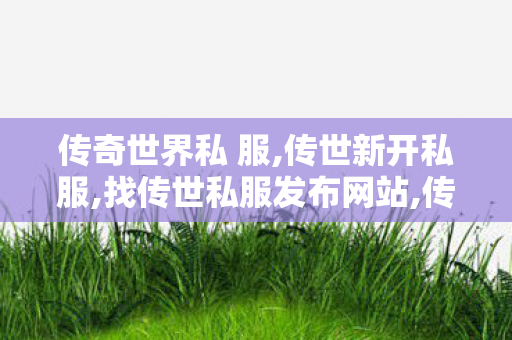 传奇世界私 服,传世新开私服,找传世私服发布网站,传世新开私服