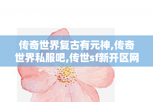 传奇世界复古有元神,传奇世界私服吧,传世sf新开区网站,传奇世界私服吧