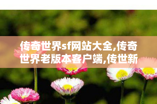 传奇世界sf网站大全,传奇世界老版本客户端,传世新服网sf,传奇世界老版本客户端